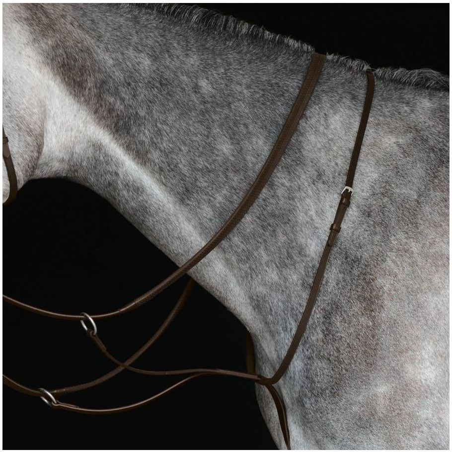 Collegiate Running Martingale Iv 800902 - Braun